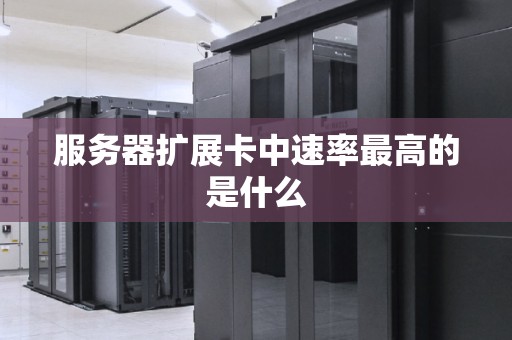 服务器扩展卡中速率最高的是什么 服务器扩展卡中速率最高的是什么