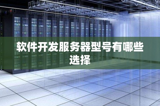软件开发服务器型号有哪些选择
