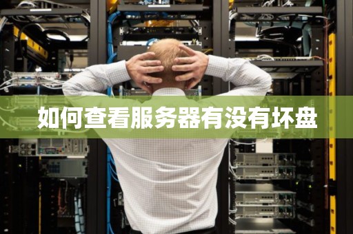 如何查看服务器有没有坏盘