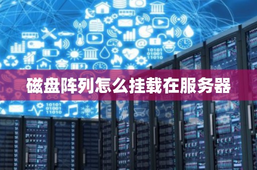 磁盘阵列怎么挂载在服务器