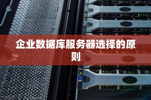 企业数据库服务器选择的原则