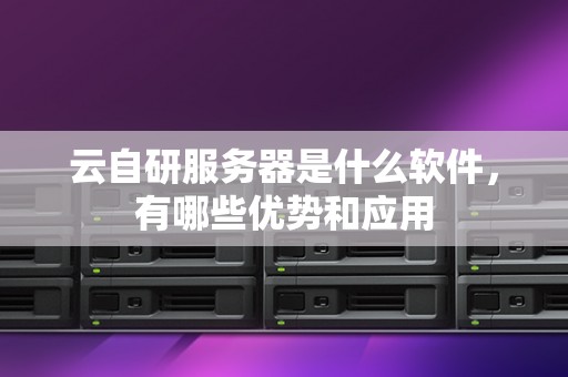 云自研服务器是什么软件,有哪些优势和应用 云自研服务器是什么软件,有哪些优势和应用
