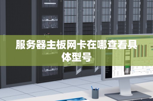 服务器主板网卡在哪查看具体型号