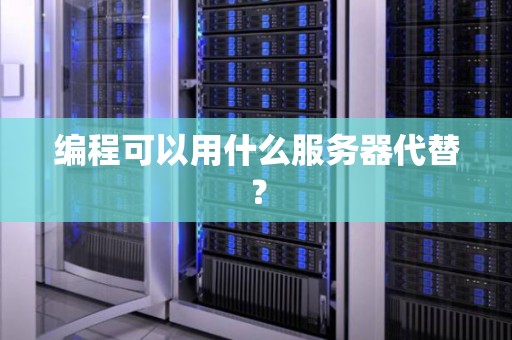 编程可以用什么服务器代替？