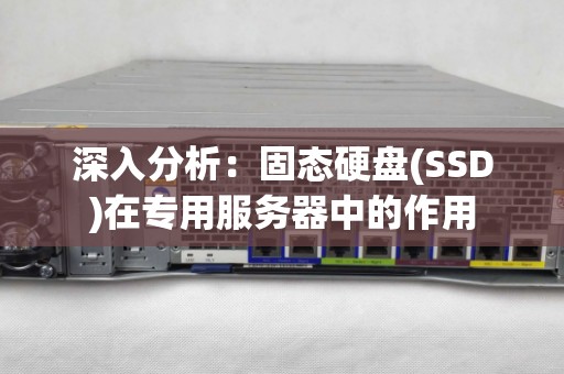 深入分析:固态硬盘(SSD)在专用服务器中的作用 深入分析:固态硬盘(SSD)在专用服务器中的作用