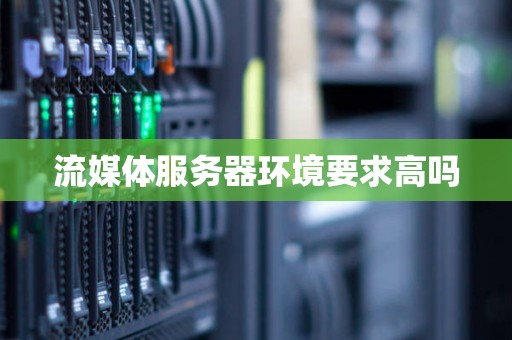 流媒体服务器环境要求高吗