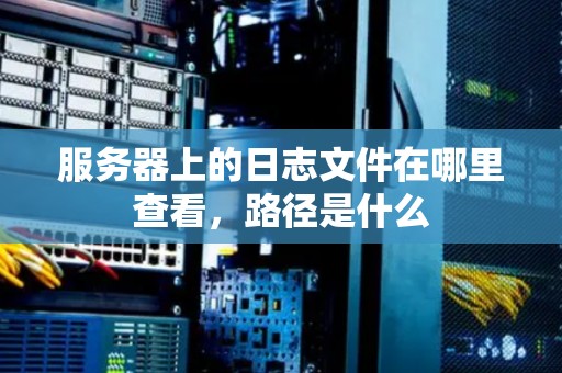 服务器上的日志文件在哪里查看，路径是什么
