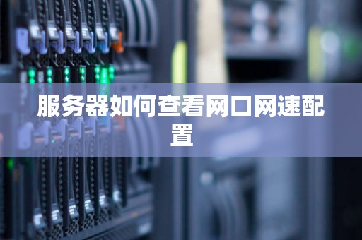 服务器如何查看网口网速配置