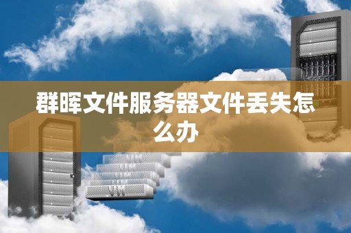 群晖文件服务器文件丢失怎么办