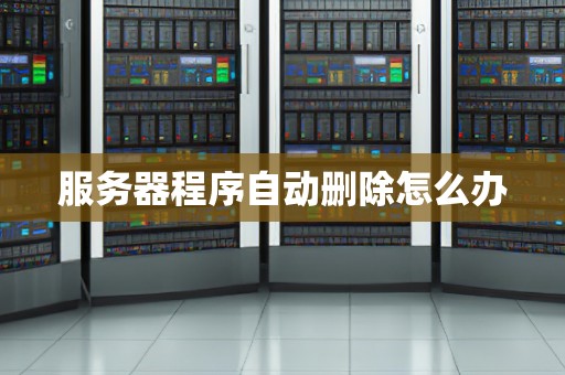 服务器程序自动删除怎么办
