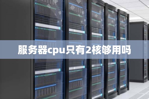 服务器cpu只有2核够用吗