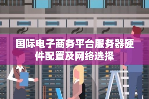 国际电子商务平台服务器硬件配置及网络选择