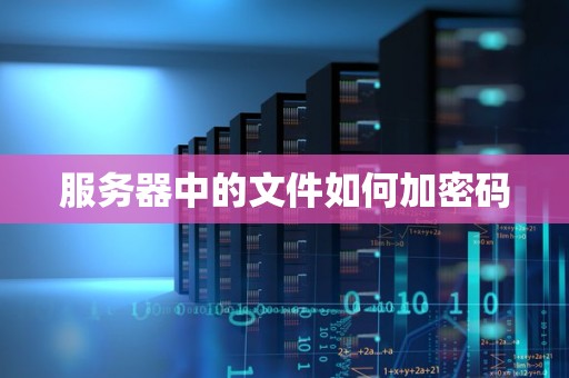 服务器中的文件如何加密码 服务器中的文件如何加密码