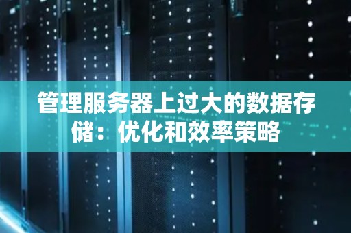 管理服务器上过大的数据存储：优化和效率策略