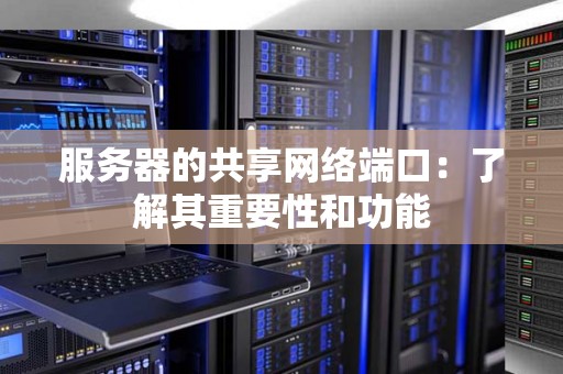 服务器的共享网络端口:了解其重要性和功能 服务器的共享网络端口:了解其重要性和功能