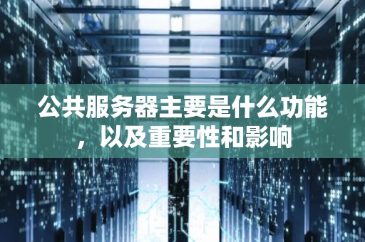 公共服务器主要是什么功能,以及重要性和影响 公共服务器主要是什么功能,以及重要性和影响