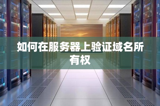 如何在服务器上验证域名所有权