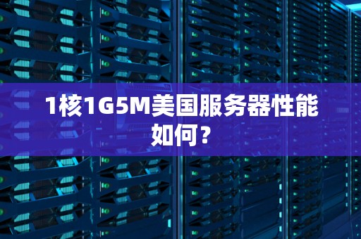 1核1G5M美国服务器性能如何？