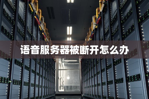 语音服务器被断开怎么办