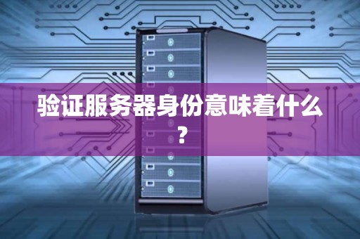 验证服务器身份意味着什么？