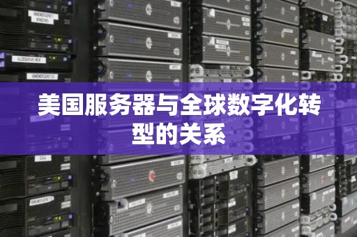 美国服务器与全球数字化转型的关系