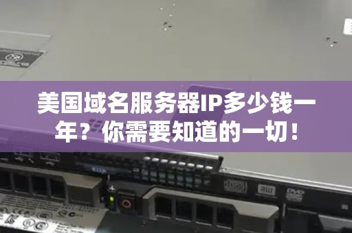 美国域名服务器IP多少钱一年？你需要知道的一切！