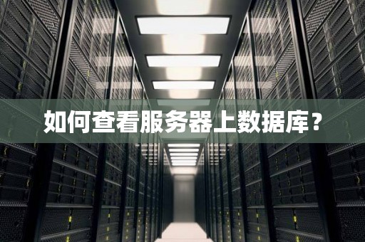 如何查看服务器上数据库? 如何查看服务器上数据库?