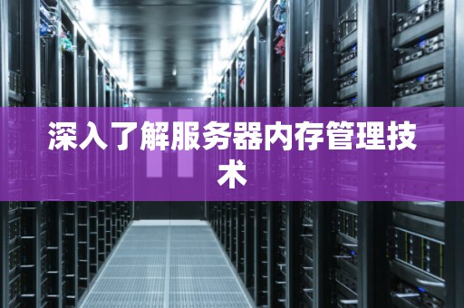 深入了解服务器内存管理技术