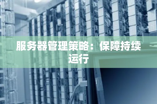 服务器管理策略：保障持续运行