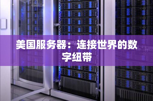 美国服务器：连接世界的数字纽带