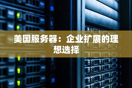 美国服务器：企业扩展的理想选择