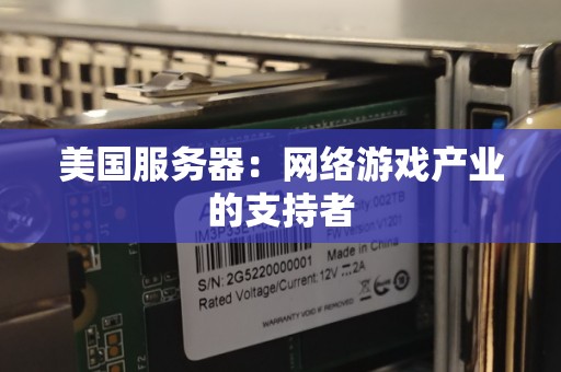 美国服务器:网络游戏产业的支持者 美国服务器:网络游戏产业的支持者