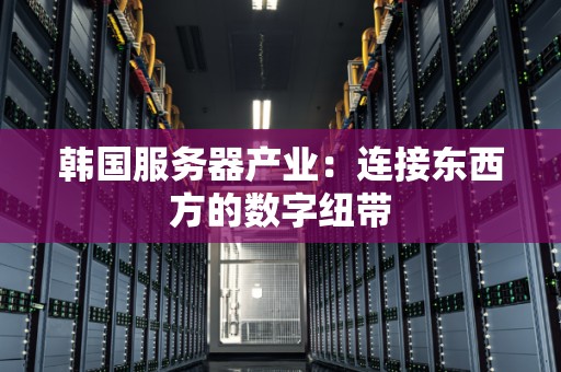 韩国服务器产业：连接东西方的数字纽带