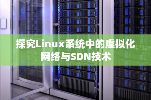分析Linux系统中的虚拟化网络与SDN技术 分析Linux系统中的虚拟化网络与SDN技术