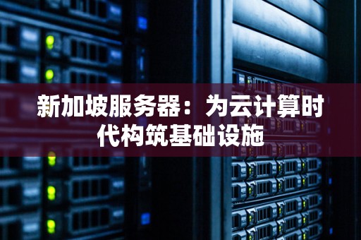 新加坡服务器：为云计算时代构筑基础设施