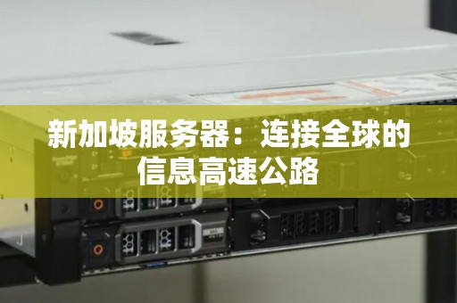 新加坡服务器：连接全球的信息高速公路