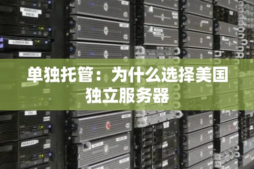 单独托管：为什么选择美国独立服务器
