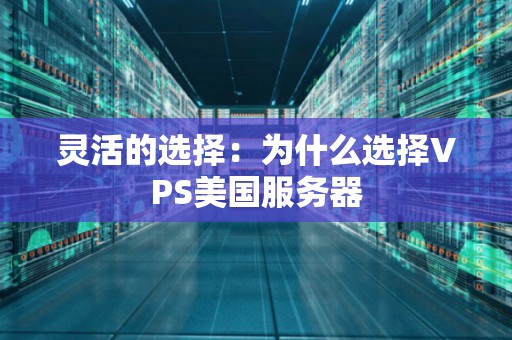 灵活的选择：为什么选择VPS美国服务器