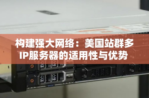 构建强大网络:美国站群多IP服务器的适用性与优势 构建强大网络:美国站群多IP服务器的适用性与优势
