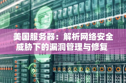 美国服务器：解析网络安全威胁下的漏洞管理与修复 