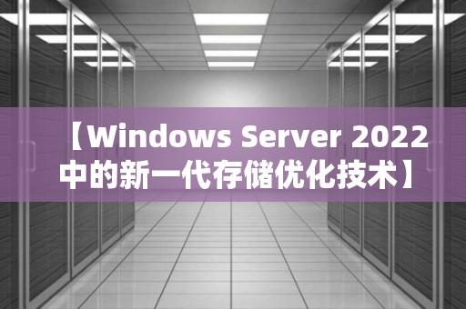 【Windows Server 2022中的新一代存储优化技术】 