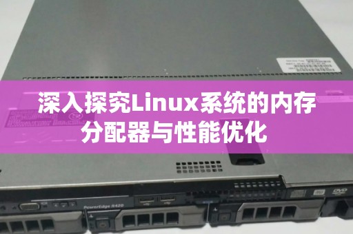 深入分析Linux系统的内存分配器与性能优化 