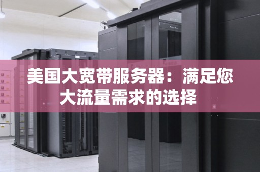 美国大宽带服务器：满足您大流量需求的选择 