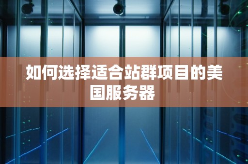 如何选择适合站群项目的美国服务器 