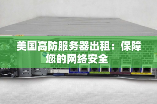 美国高防服务器出租：保障您的网络安全 