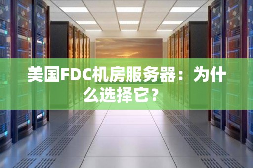 美国FDC机房服务器：为什么选择它？ 