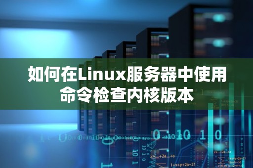 如何在Linux服务器中使用命令检查内核版本