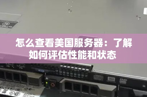 怎么查看美国服务器：了解如何评估性能和状态 