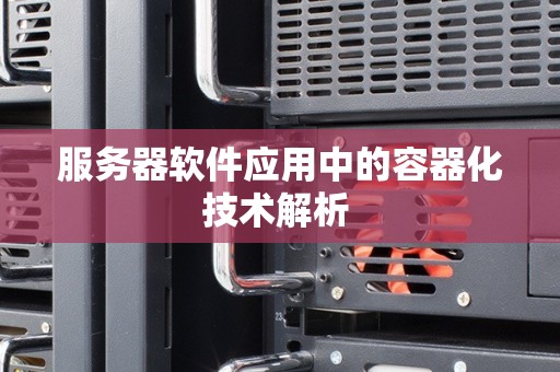 服务器软件应用中的容器化技术解析 