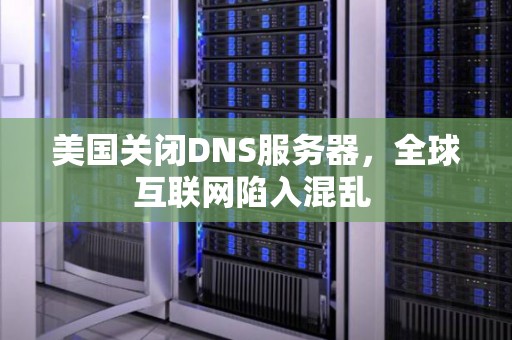 美国关闭DNS服务器，全球互联网陷入混乱 